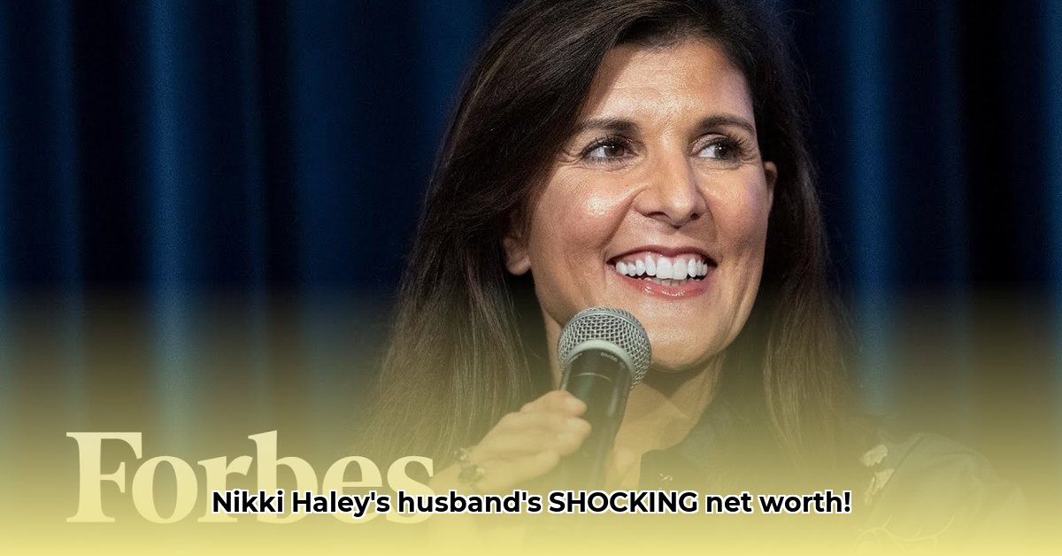 nikki-haley-husband-net-worth